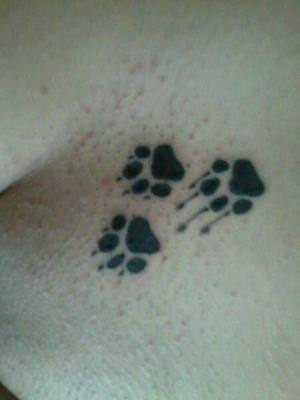 Chat with Eva (22) | Wisconsin Casual Partners