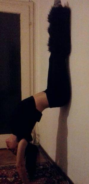 Chat with Victoria (20) | South Carolina Casual Partners